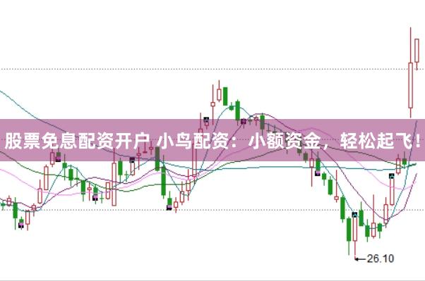 股票免息配资开户 小鸟配资：小额资金，轻松起飞！